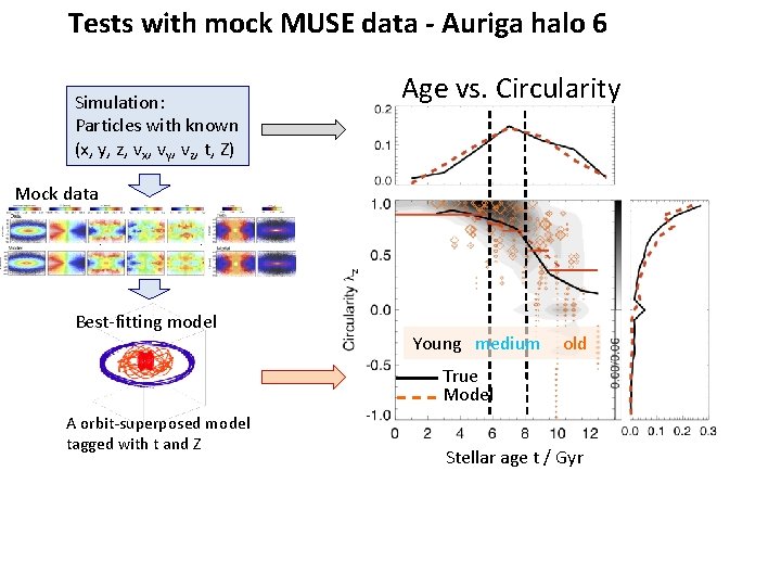 Tests with mock MUSE data - Auriga halo 6 Simulation: Particles with known (x,