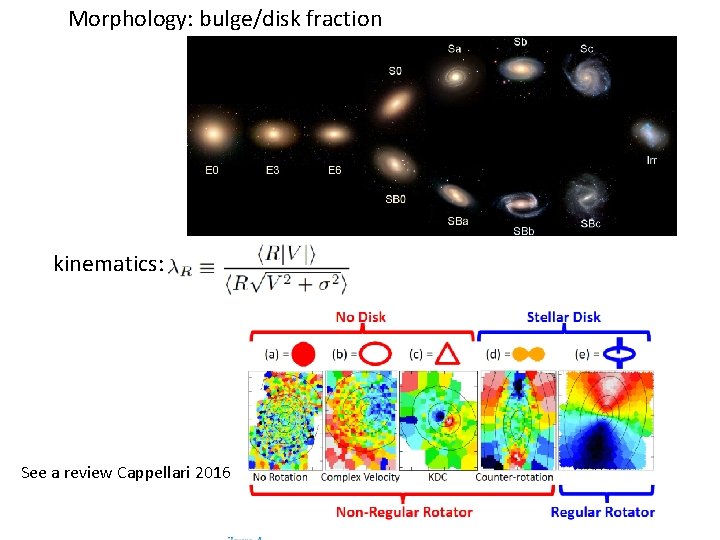 Morphology: bulge/disk fraction kinematics: See a review Cappellari 2016 