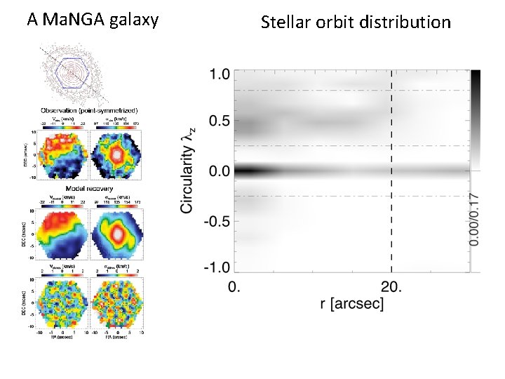 A Ma. NGA galaxy Stellar orbit distribution 