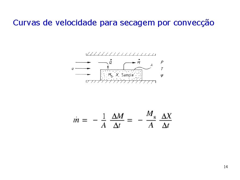 Curvas de velocidade para secagem por convecção 14 