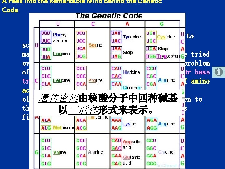 Dna Code Chain Chapter 2 A Peek into the Remarkable Mind