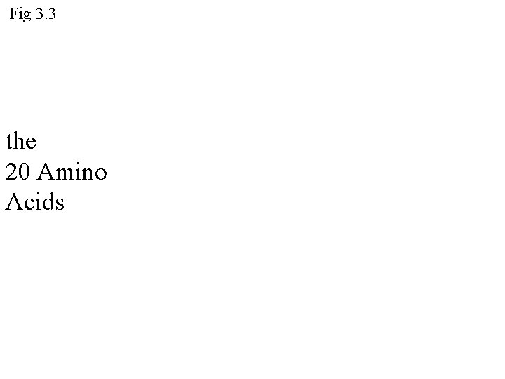 Fig 3. 3 the 20 Amino Acids 