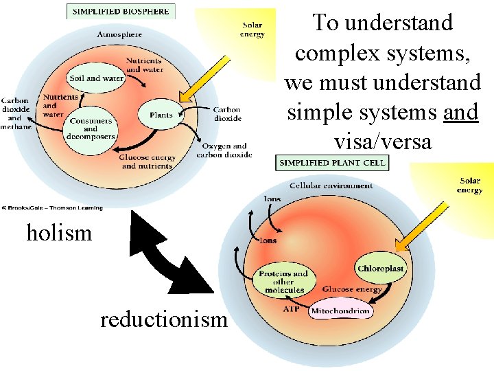 To understand complex systems, we must understand simple systems and visa/versa holism reductionism 