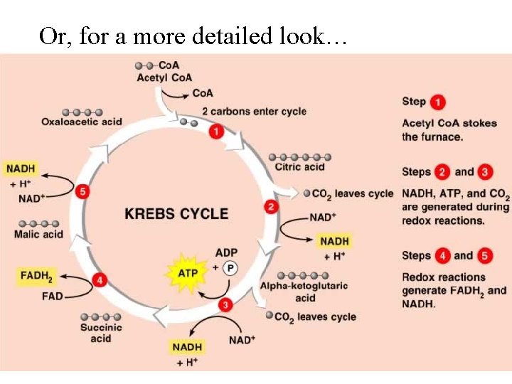 Or, for a more detailed look… 