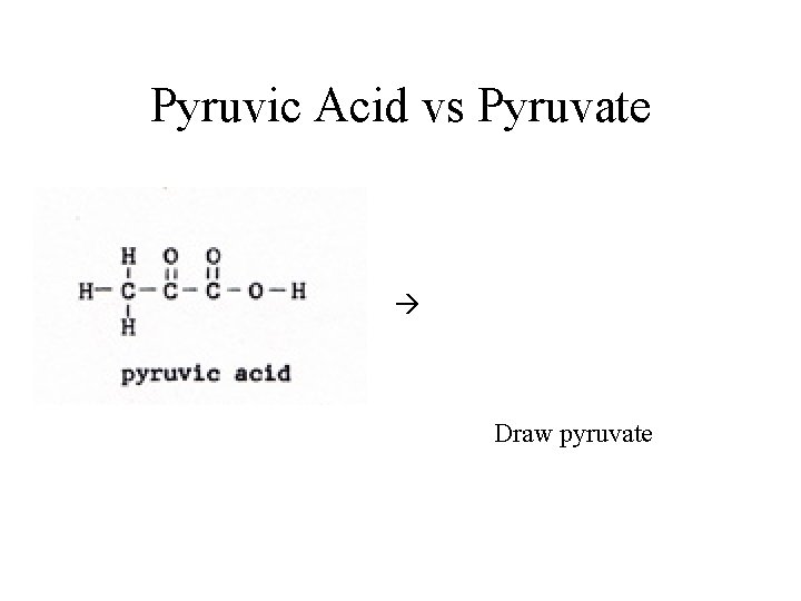 Pyruvic Acid vs Pyruvate Draw pyruvate 