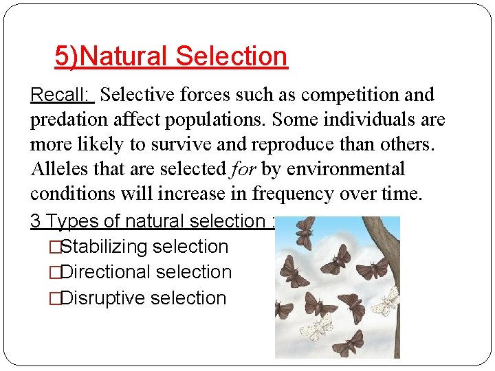 5)Natural Selection Recall: Selective forces such as competition and predation affect populations. Some individuals