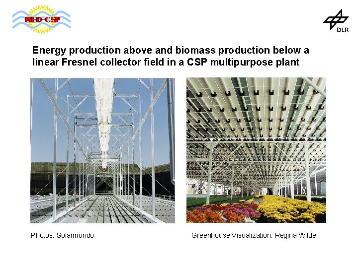 Energy production above and biomass production below a linear Fresnel collector field in a