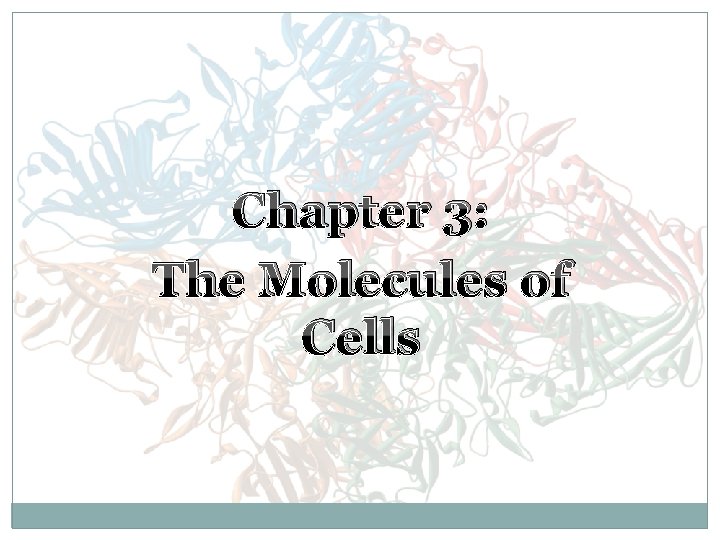 Chapter 3 The Molecules of Cells Overview of