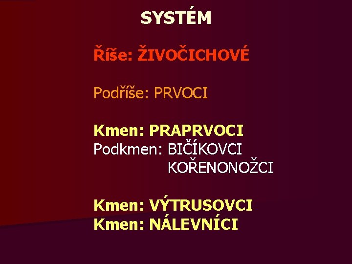 SYSTÉM Říše: ŽIVOČICHOVÉ Podříše: PRVOCI Kmen: PRAPRVOCI Podkmen: BIČÍKOVCI KOŘENONOŽCI Kmen: VÝTRUSOVCI Kmen: NÁLEVNÍCI