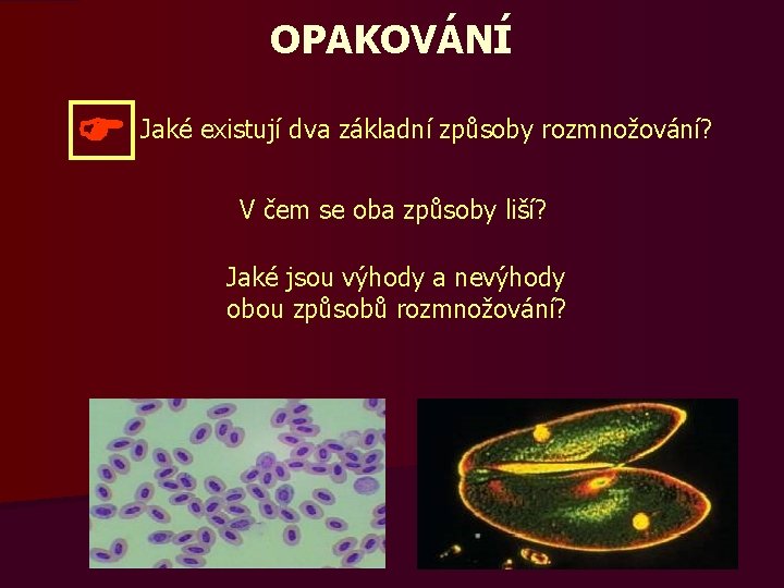 OPAKOVÁNÍ Jaké existují dva základní způsoby rozmnožování? V čem se oba způsoby liší? Jaké