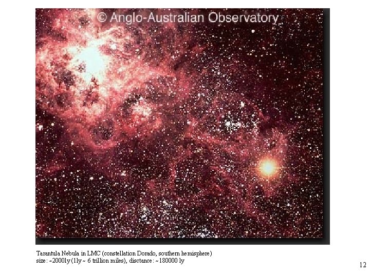 Tarantula Nebula in LMC (constellation Dorado, southern hemisphere) size: ~2000 ly (1 ly ~