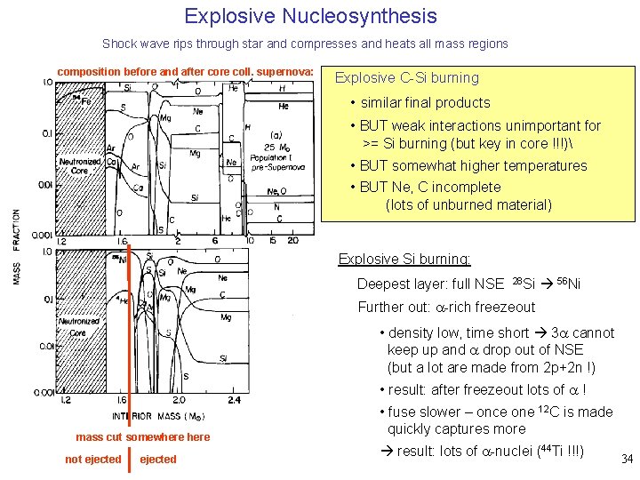 Explosive Nucleosynthesis Shock wave rips through star and compresses and heats all mass regions