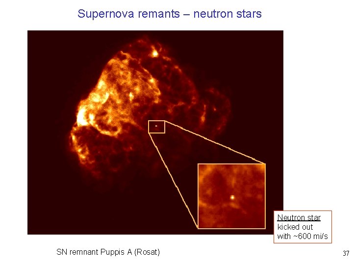 Supernova remants – neutron stars Neutron star kicked out with ~600 mi/s SN remnant