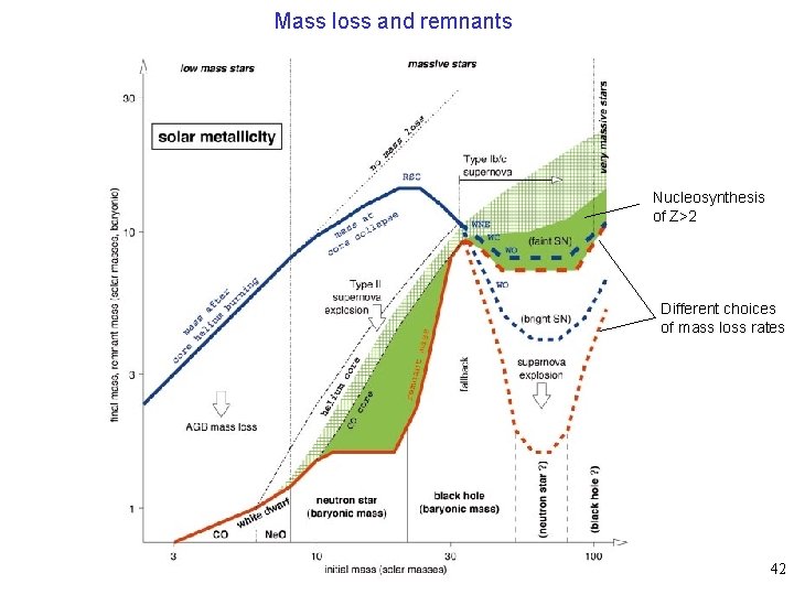 Mass loss and remnants Nucleosynthesis of Z>2 Different choices of mass loss rates 42