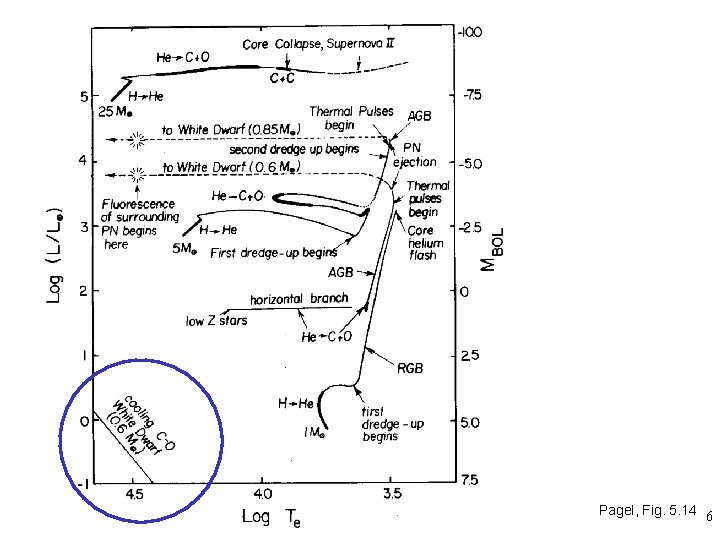 Pagel, Fig. 5. 14 6 