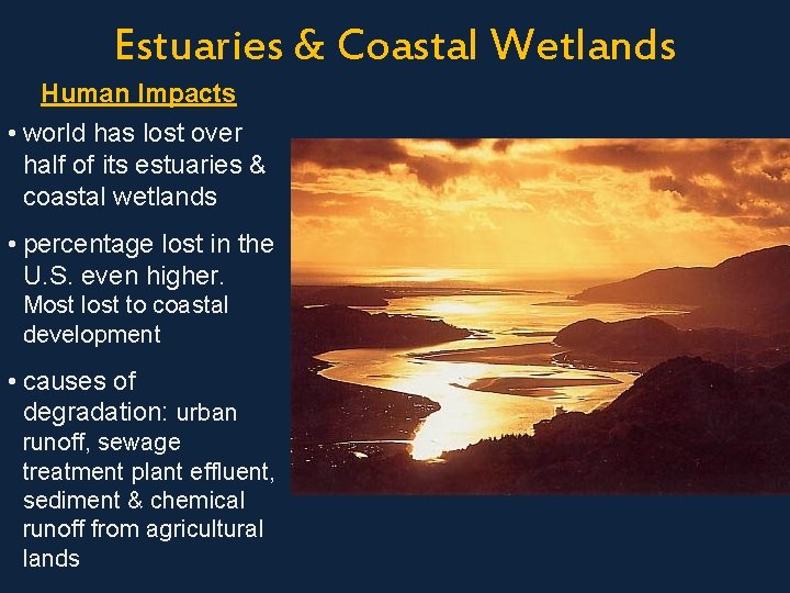 Estuaries & Coastal Wetlands Human Impacts • world has lost over half of its