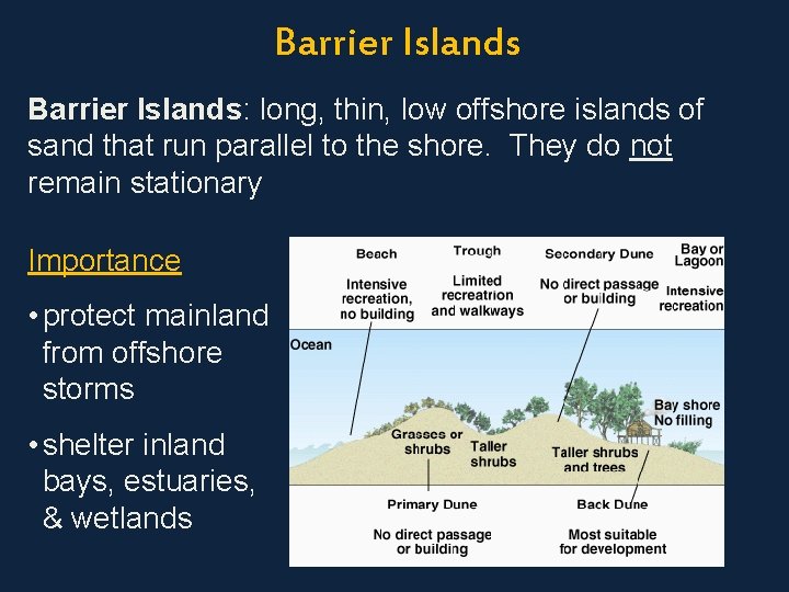 Barrier Islands: long, thin, low offshore islands of sand that run parallel to the
