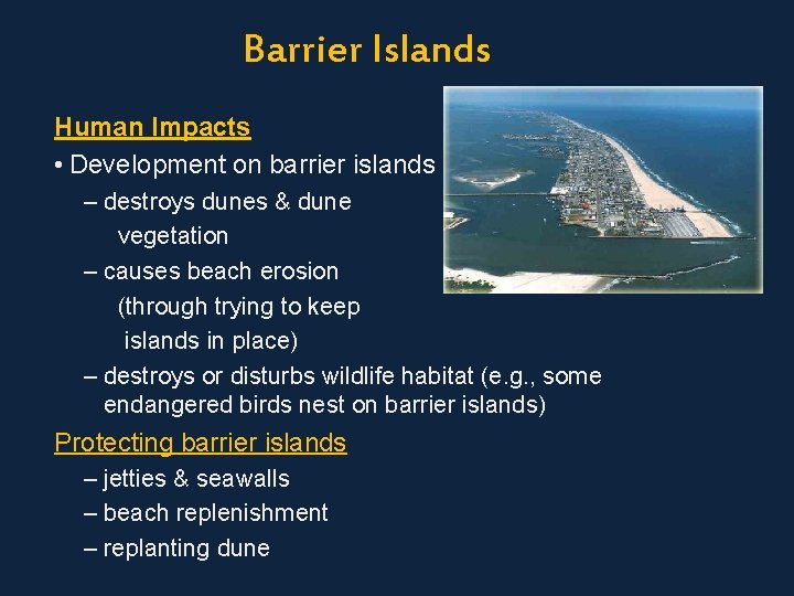 Barrier Islands Human Impacts • Development on barrier islands – destroys dunes & dune