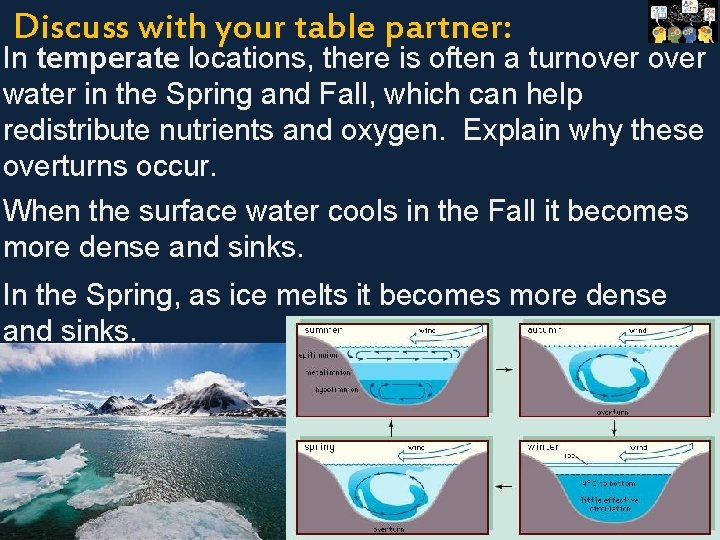 Discuss with your table partner: In temperate locations, there is often a turnover spring
