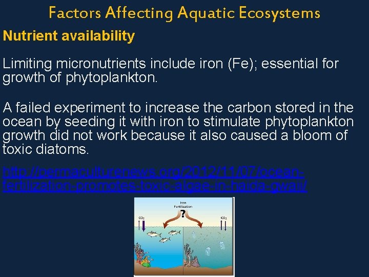 Factors Affecting Aquatic Ecosystems Nutrient availability most limiting macronutrients are phosphorus (P) & Limiting