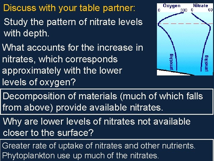 Discuss with your table partner: Study the pattern of nitrate levels with depth. What