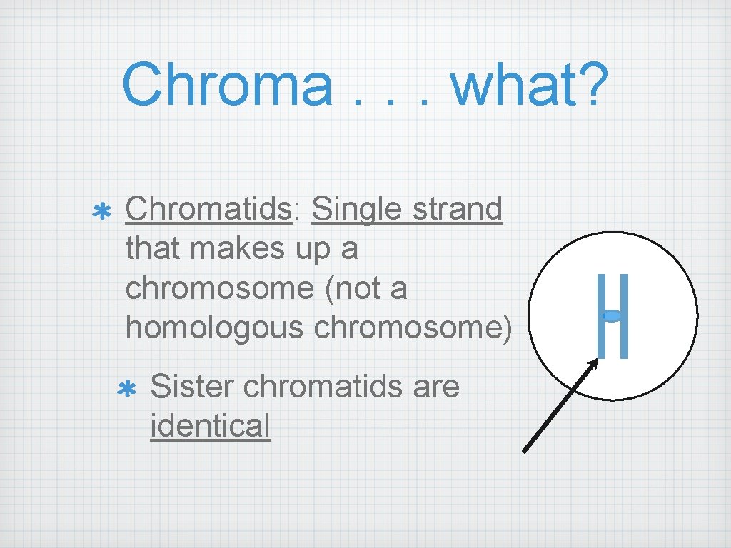 Chroma. . . what? Chromatids: Single strand that makes up a chromosome (not a