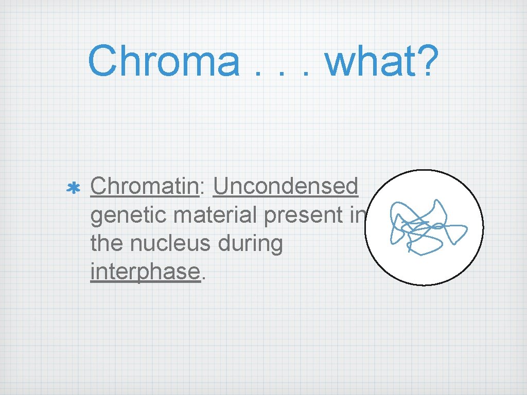 Chroma. . . what? Chromatin: Uncondensed genetic material present in the nucleus during interphase.