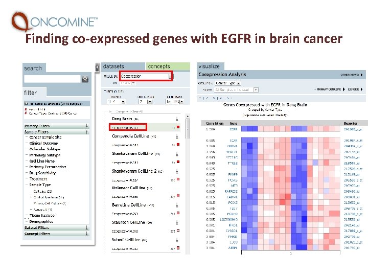 Finding co-expressed genes with EGFR in brain cancer 