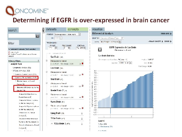 Determining if EGFR is over-expressed in brain cancer 