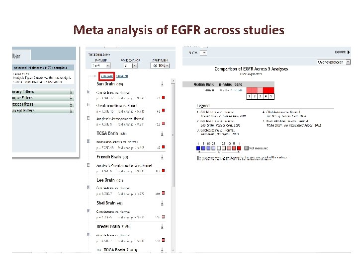 Meta analysis of EGFR across studies 