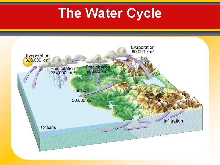 The Water Cycle 