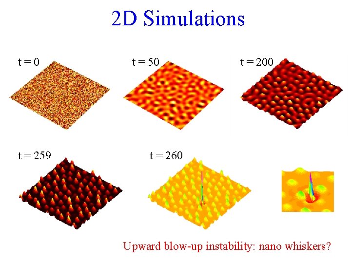 2 D Simulations t=0 t = 259 t = 50 t = 200 t