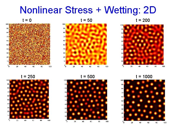 Nonlinear Stress + Wetting: 2 D t=0 t = 50 t = 200 t