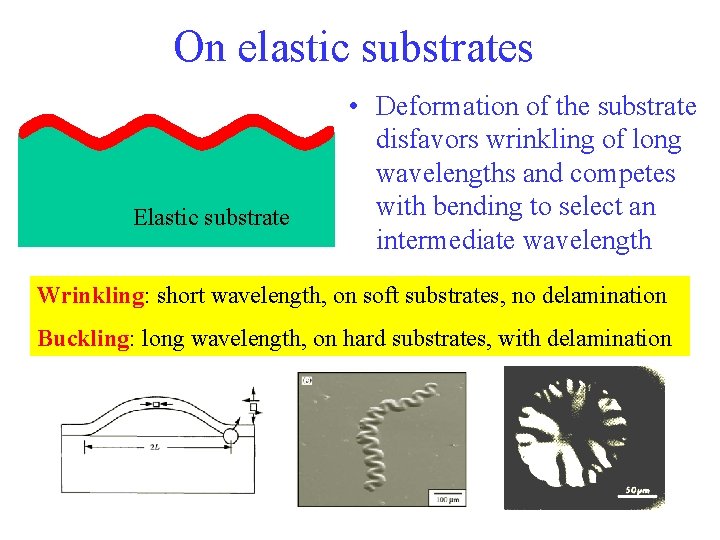 On elastic substrates Elastic substrate • Deformation of the substrate disfavors wrinkling of long
