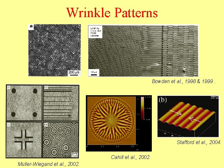 Wrinkle Patterns Bowden et al. , 1998 & 1999. Stafford et al. , 2004.