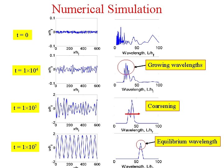 Numerical Simulation t=0 t= 1 104 t = 1 105 t= 1 107 Growing