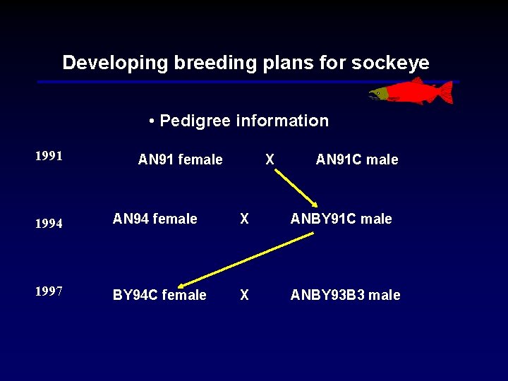 Developing breeding plans for sockeye • Pedigree information 1991 AN 91 female X AN