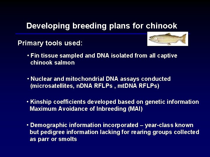 Developing breeding plans for chinook Primary tools used: • Fin tissue sampled and DNA