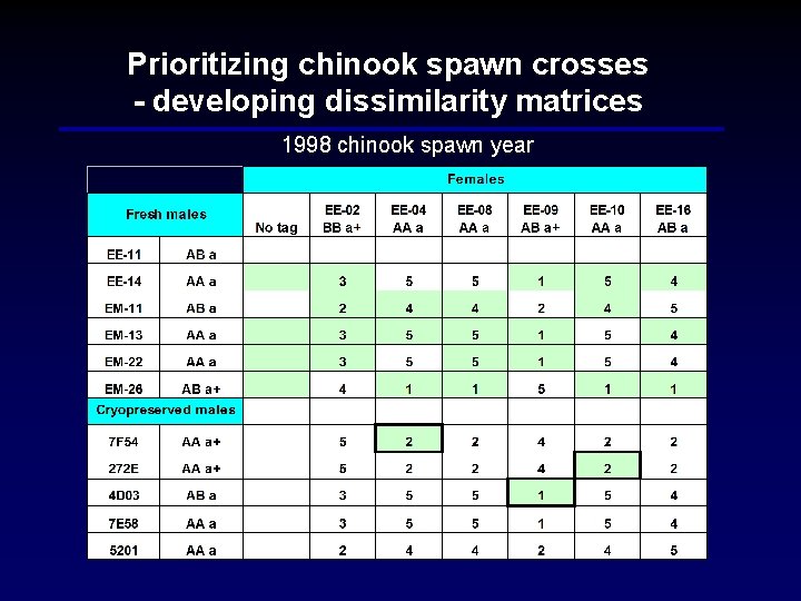 Prioritizing chinook spawn crosses - developing dissimilarity matrices 1998 chinook spawn year 