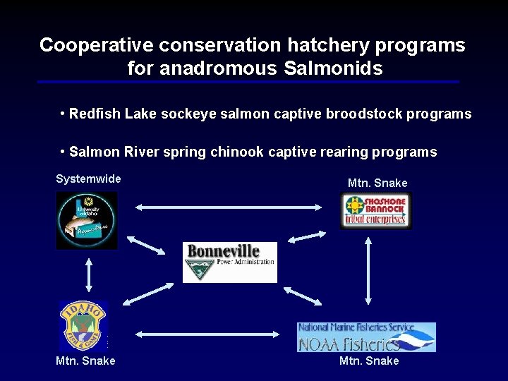 Cooperative conservation hatchery programs for anadromous Salmonids • Redfish Lake sockeye salmon captive broodstock