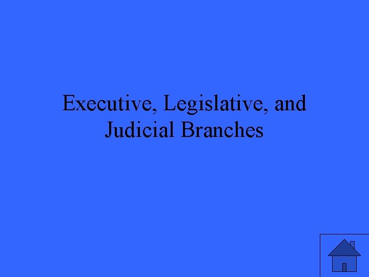 Executive, Legislative, and Judicial Branches 