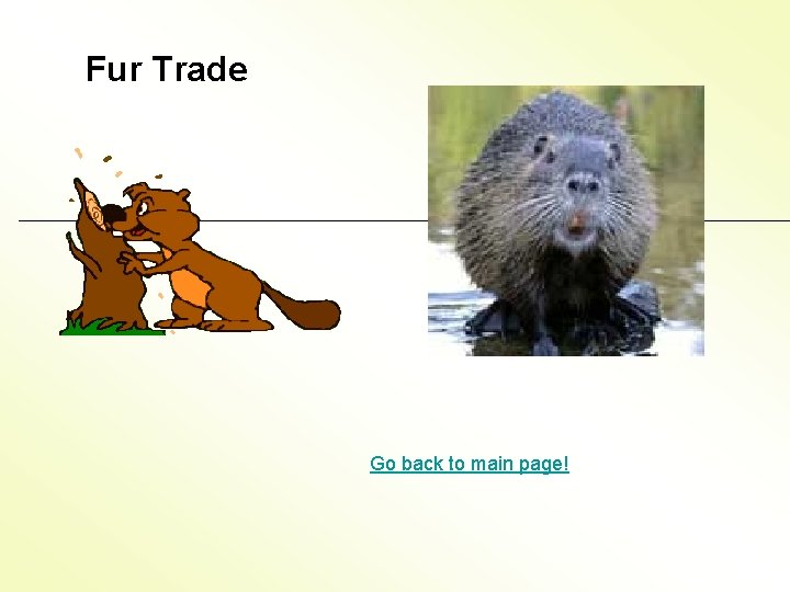 Fur Trade Go back to main page! 