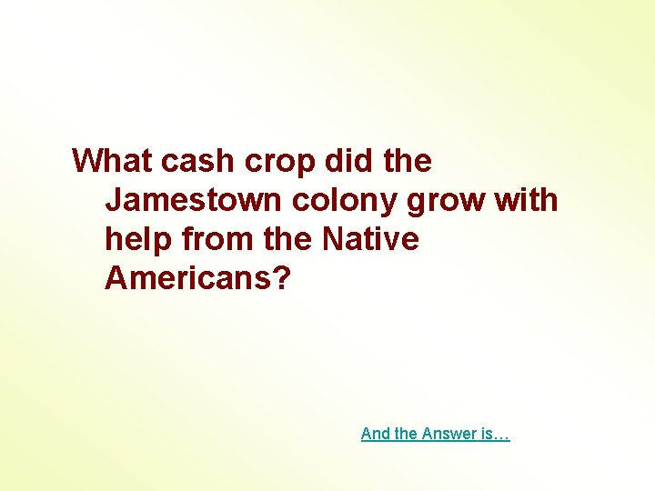 What cash crop did the Jamestown colony grow with help from the Native Americans?
