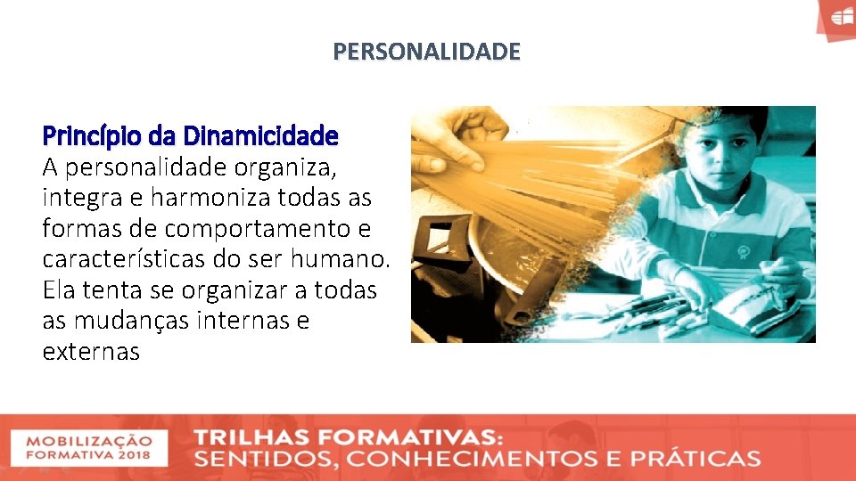 PERSONALIDADE Princípio da Dinamicidade A personalidade organiza, integra e harmoniza todas as formas de