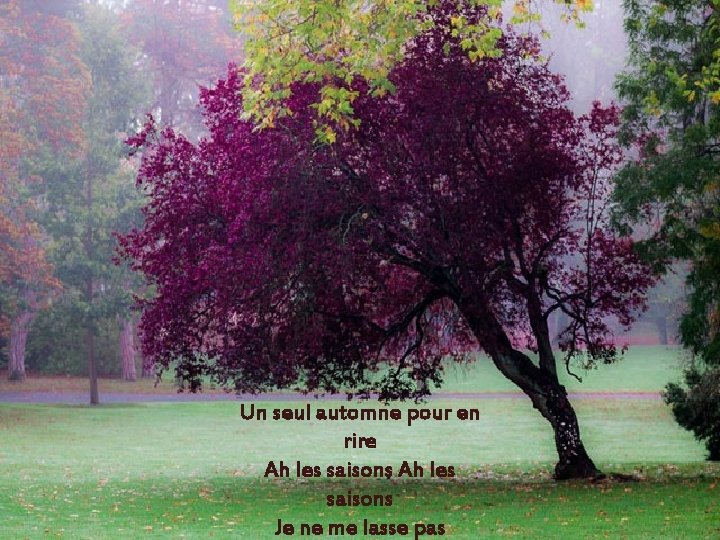 Un seul automne pour en rire Ah les saisons Je ne me lasse pas