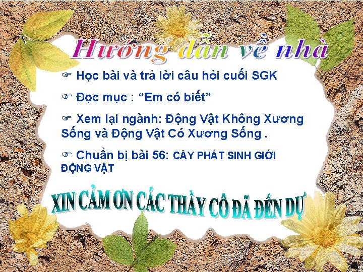 F Học bài và trả lời câu hỏi cuối SGK F Đọc mục :