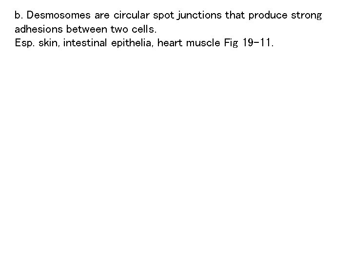 b. Desmosomes are circular spot junctions that produce strong adhesions between two cells. Esp.