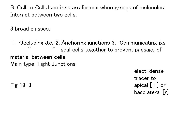 B. Cell to Cell Junctions are formed when groups of molecules Interact between two