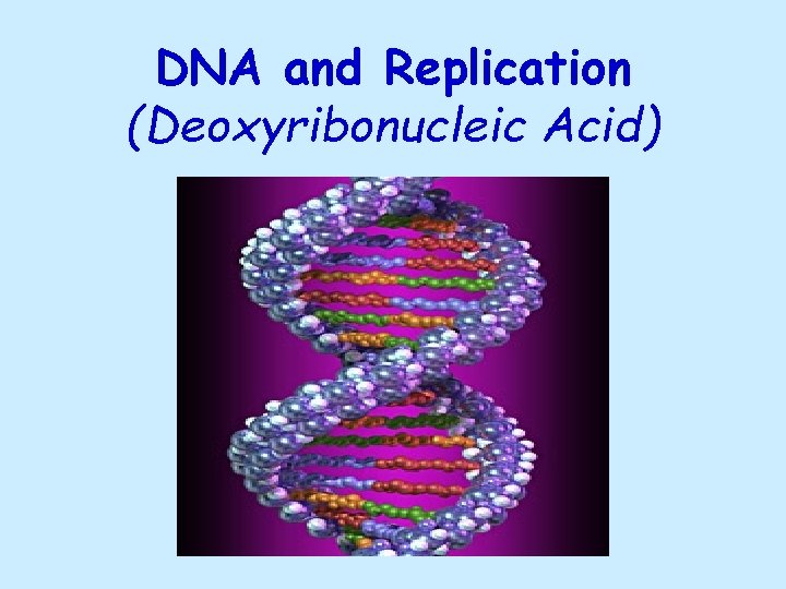 DNA and Replication (Deoxyribonucleic Acid) 