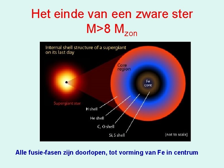 Het einde van een zware ster M>8 Mzon Alle fusie-fasen zijn doorlopen, tot vorming